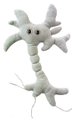 foto Mozkov buka (neuron)